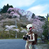 You (@needtostayhere) 's Twitter Profile