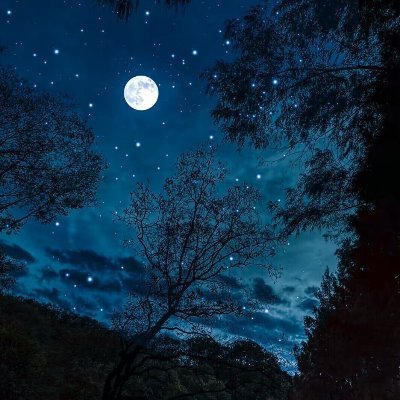 wangc1912's profile picture. 时间