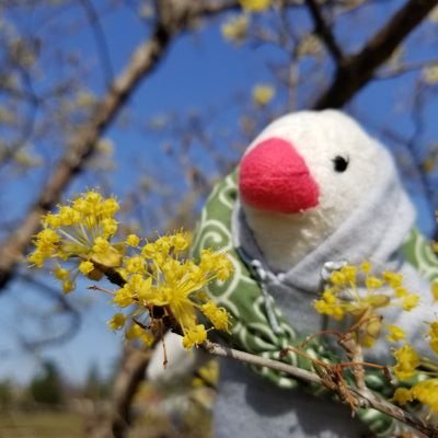 tabisuru_buncho's profile picture. 文鳥飼いの手帳好きで田舎者。
Twitter初心者がゆるーくやってます。至らない事がありましたらご容赦下さい。