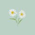 نَقَاءٌ. (@naqa925) Twitter profile photo نَقَاءٌ. (@naqa925) Twitter profile photo