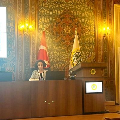 DeenaSaleh9's profile picture. #Egyptian 
MSc Alumni @Hacettepe1967, PhD in Economics @istanbuledutr | Culture, Social Capital, Religiosity, Political Economy, MENA