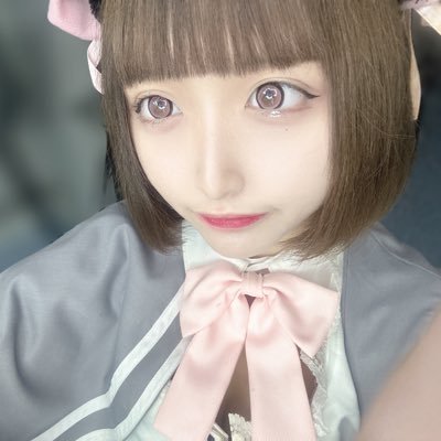 shia_nekopi Profile Picture