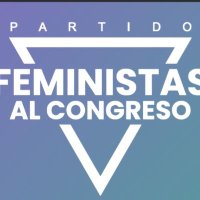 Feminismo o barbarie(@Feminismoobarb2) 's Twitter Profile Photo