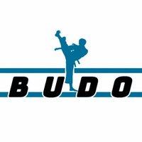 Budo Martial arts Llanelli(@BudoMartialart) 's Twitter Profile Photo