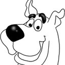 Erin More - @MoreErin57170 - Twitter