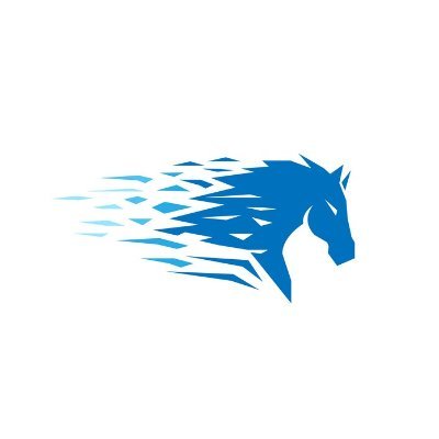 bluehorsetech's profile picture. 🌐Leading Web Development & Digital Marketing Company | Serving Worldwide | 💬 DM for a Free Consultation!