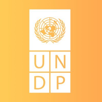 UNDP Sustainable Energy Hub