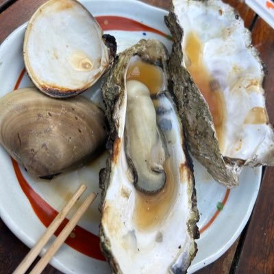 262rtNEtWs9lOGi's profile picture. 