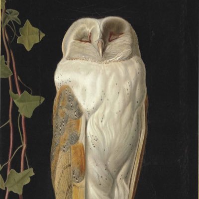 egkoist's profile picture. 🦉：💎🌕🌵🫐🪐🌟💎 KKIFA! 😗Active only on weekends and holidays