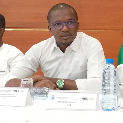 Secrétaire National Aux Affaires Politiques et aux DHLP & Porte-parole du @pcrn_officiel de @CabralLibii - CEO de KEMBERE Politics Consulting