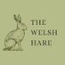 The Welsh Hare (@welshhare) Twitter profile photo