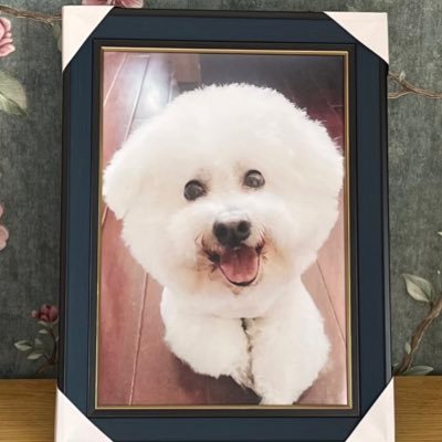 大家好，我的笔名叫九思，就是那个写过长篇现实小说《无影人生》《南京之恋》《替身有爱》以及脱北故事《烟集悲歌》等等作品，一位非常不知名的作者，请多多关照。（生活推+琐碎日常+无营养推文+想看本人小说请自行谷歌搜索。）