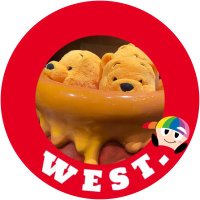 Cym.🧸˖⋆꙳ (@nowest__nolife) 's Twitter Profile