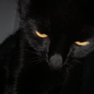 malinammiel's profile picture. she/her