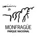 PNMONFRAGUE (@monfraguepn) Twitter profile photo PNMONFRAGUE (@monfraguepn) Twitter profile photo