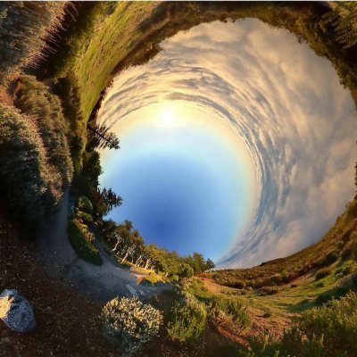 Duh_Jerk's profile picture. 