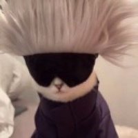 satoree (@waqualee) 's Twitter Profile Photo satoree (@waqualee) 's Twitter Profile Photo