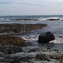 Mary Jane Blanchette - @beachroses2009 - Twitter