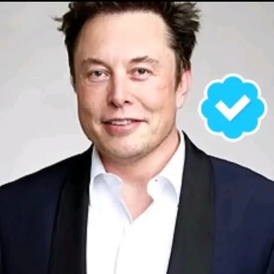 CEO and chief engineer at spaceX 🚀, the owner of Tesla 🚘 and X