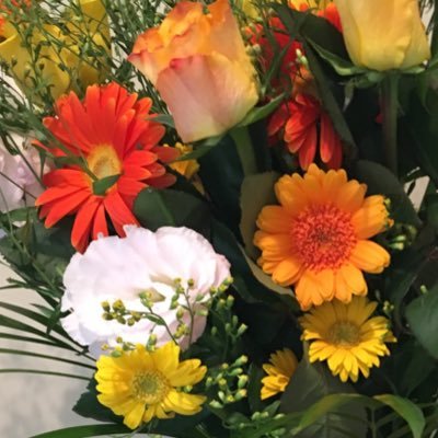 さいうさんのプロフィール画像