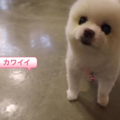 やあさんのプロフィール画像