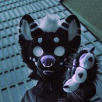 coyz (@coyzbtw) 's Twitter Profile