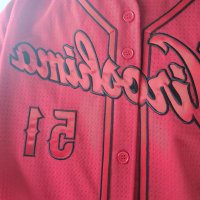 いぬぬ 広島カープ応援 (@inunu_carp) Twitter profile photo