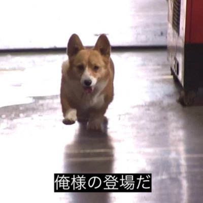 ほとんどRTしかしない人です