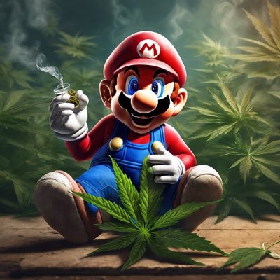 MARIO420420_ Profile Picture