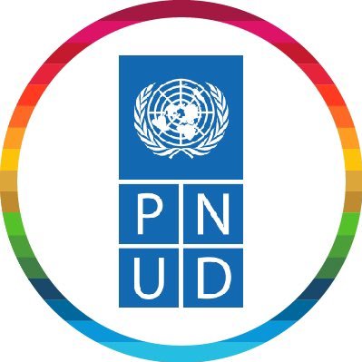PNUD Niger Profile