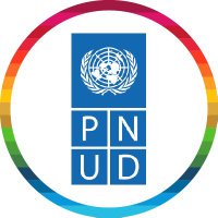 PNUD Niger (@pnudniger) 's Twitter Profile