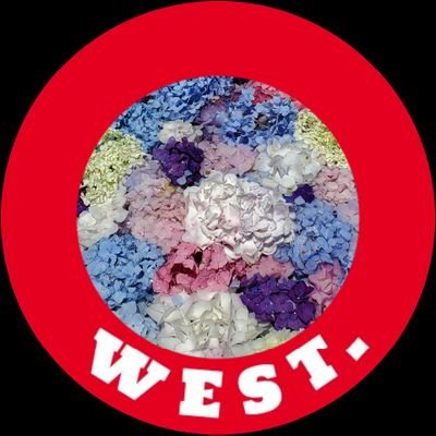 ジャニーズWEST/赤色濃いめの虹色ジャス民/無言フォロー失礼します/見る専門だったので、ほとんどTwitter🔰です/よろしくお願いします☺️