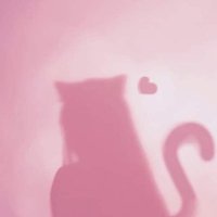 Li (@lirlinh) 's Twitter Profile