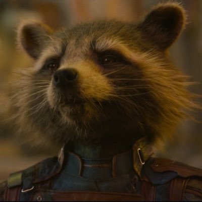 “I got emotionalistic issues.” (Rocket Raccoon RP Account) (DMs are open!) #RP #MVRP #MCURP #GOTGRP (All RP character types welcome!)