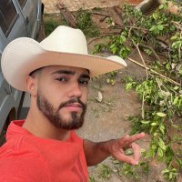 Vulgo Nando (@luizferrocha) 's Twitter Profile