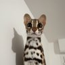 AsliAehe's profile picture. 