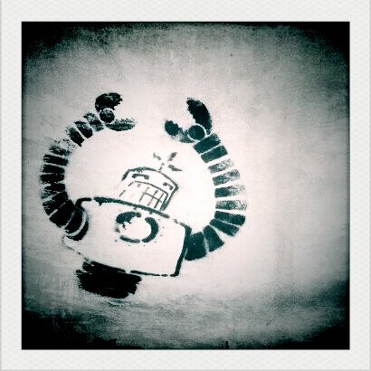 DMACNewHave's profile picture. Jack of all trades, master of none.