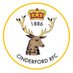 Cinderford RFC 🌲🏉 (@cinderfordrfc) Twitter profile photo