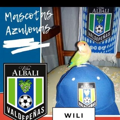 Aficionado de Viña Albali Valdepeñas💙💙