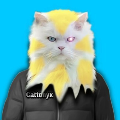 Cattonyx is NFT Available in OpenSea
Chain Base ETH