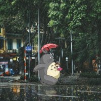 anothersapien (@anothersapien_) 's Twitter Profile