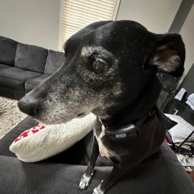 toddmeth's profile picture. 