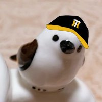 むむみ (@muimui_mui0123) 's Twitter Profile Photo むむみ (@muimui_mui0123) 's Twitter Profile Photo