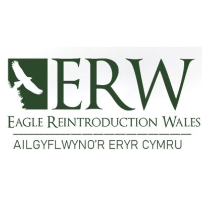 EagleReintroductionWales Profile