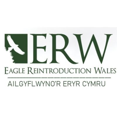 A feasibility study to assess if we can bring our native Golden and White-tailed Eagles back to soaring the skies of modern Wales  🦅🏴󠁧󠁢󠁷󠁬󠁳󠁿