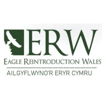 EagleReintroductionWales (@erwproject) 's Twitter Profile