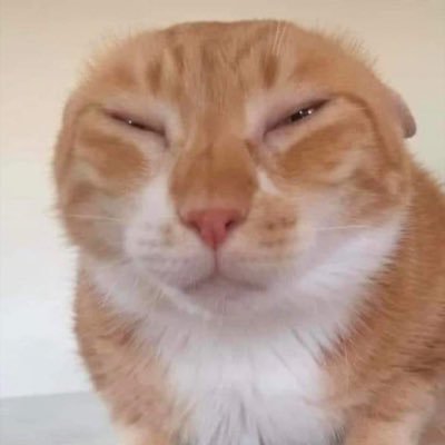 Ko_Chigga's profile picture. 