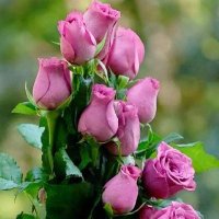 imbest (@roshni_sarraf) 's Twitter Profile