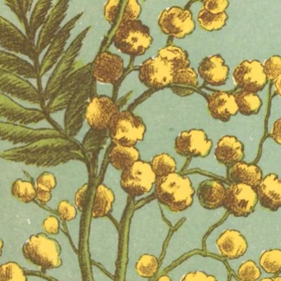 ionziflar's profile picture. 