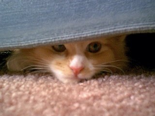 rrobb2's profile picture. Media Teacher, Gifted Student Advocate, Enjoys teaching technology applications, Tennis & Cycling, Innovation